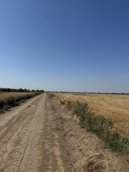 Dragomiresti Vale, Ilfov, teren 10.000 mp