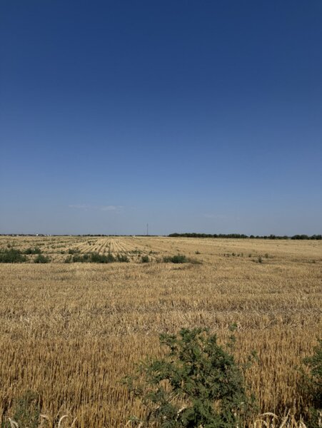 Dragomiresti Vale, Ilfov, teren 10.000 mp